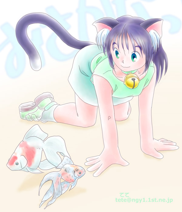 ���ꂿ�����